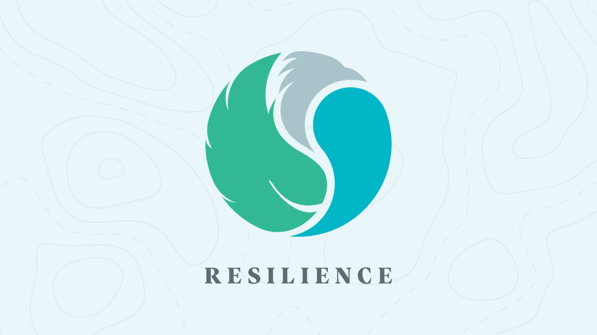 (c) Resilience.com.ar