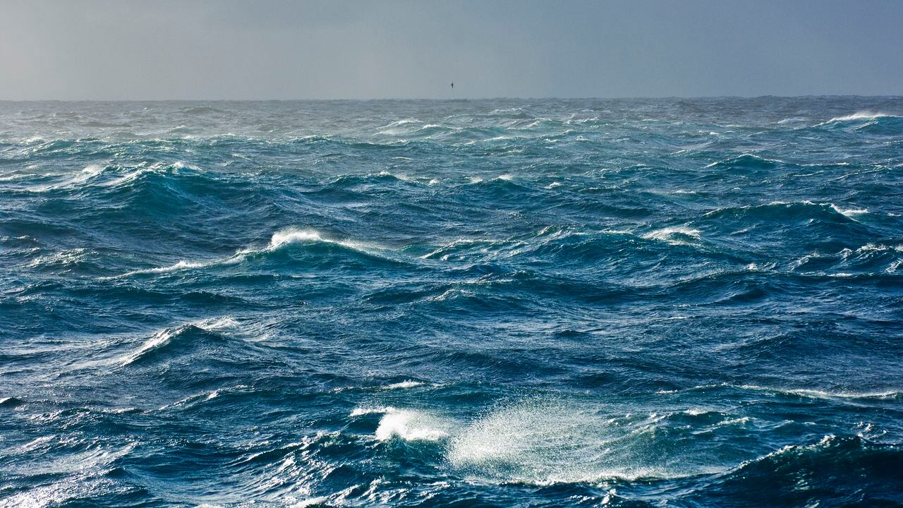 ARTÍCULO CIENTÍFICO: Emisiones atmosféricas de CO2 y acidificación  oceánica derivadas de la pesca de arrastre en el  fondo marino