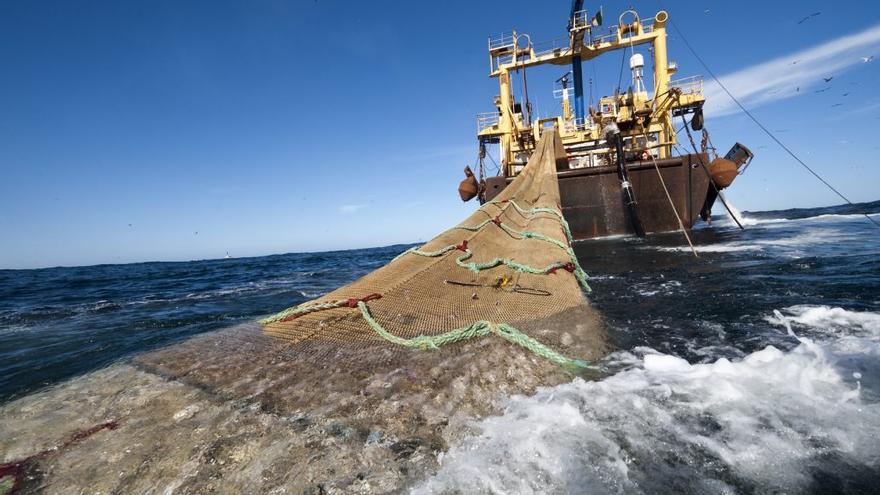 ARTÍCULO CIENTÍFICO: Evaluando la sostenibilidad e impactos ambientales de la pesca de arrastre en comparación con otros sistemas de producción de alimentos